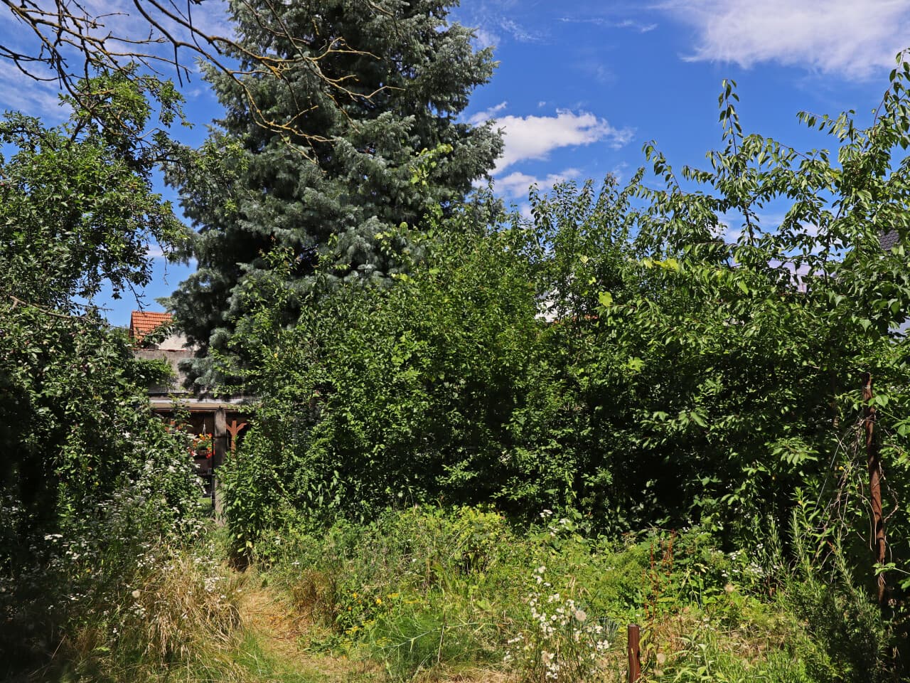 Einfamilienhaus in Darmstadt – Bild 4