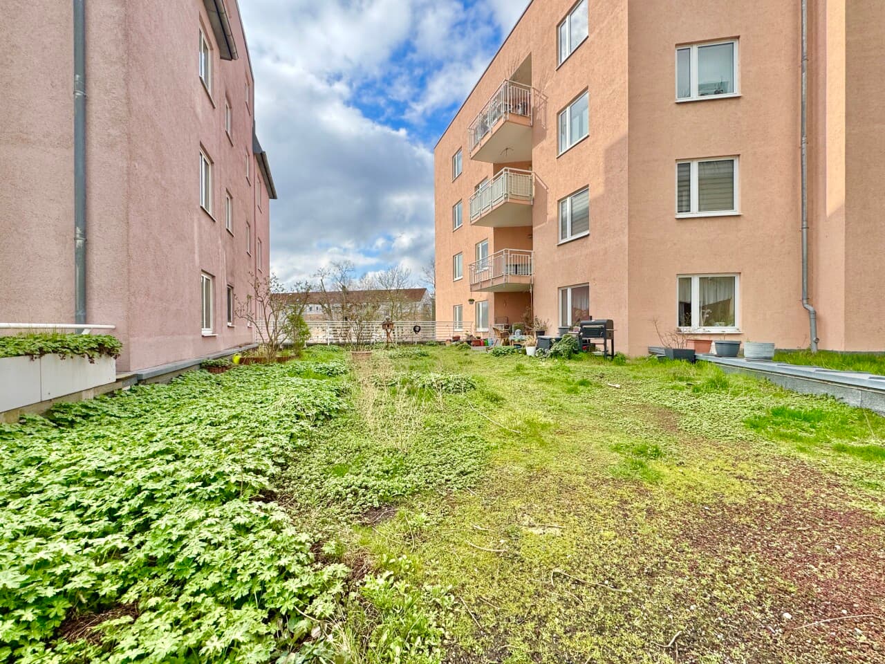 Terrassenwohnung in Dresden – Bild 4