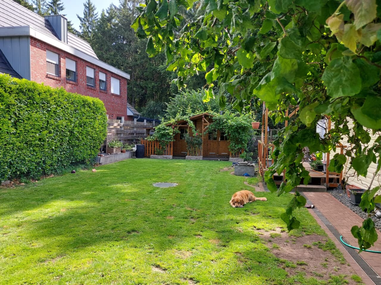 Einfamilienhaus in Gnarrenburg – Bild 11
