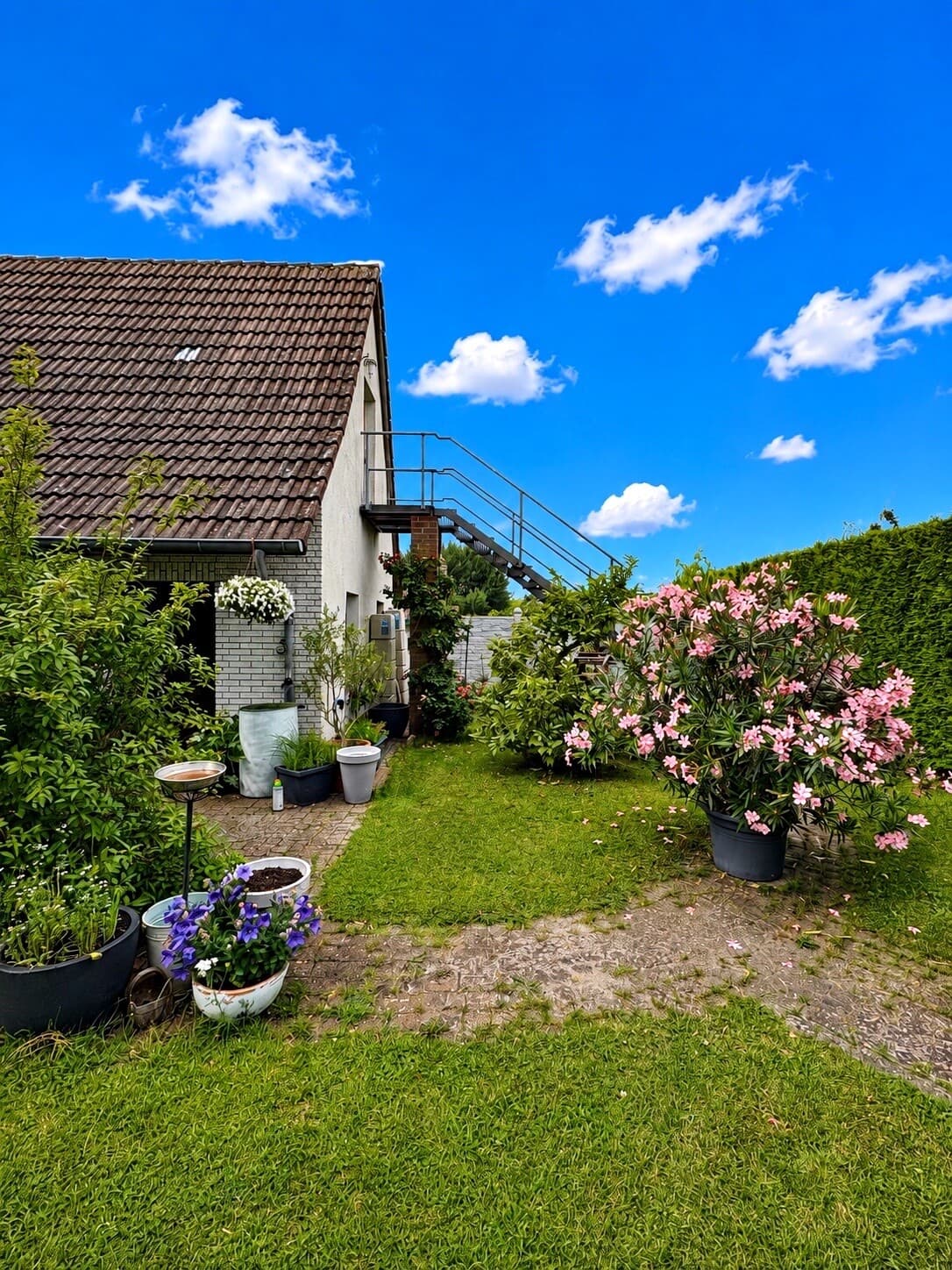 Einfamilienhaus in Ueckermünde – Bild 19