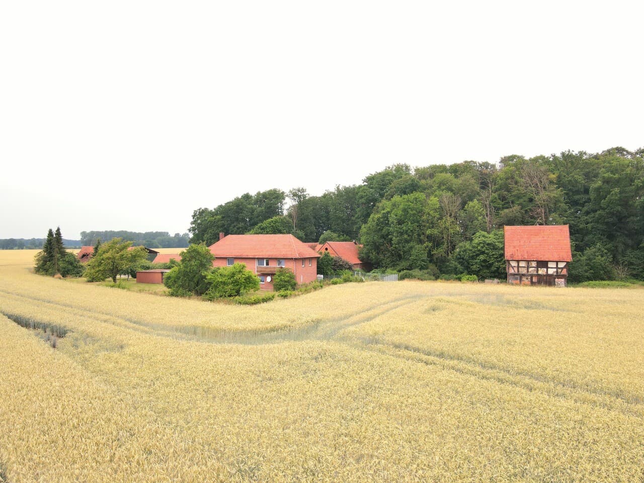 Resthof in Asendorf – Bild 17