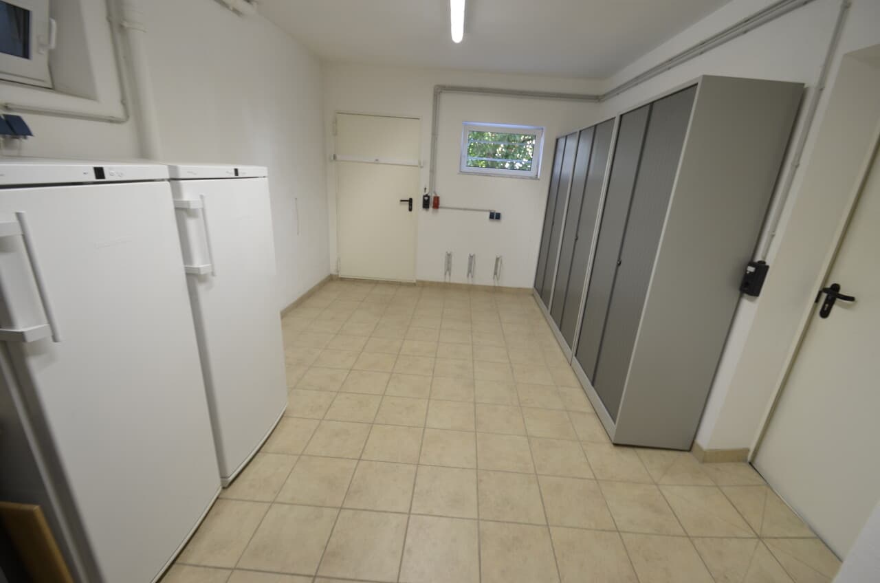 Einfamilienhaus in Bodenheim – Bild 31