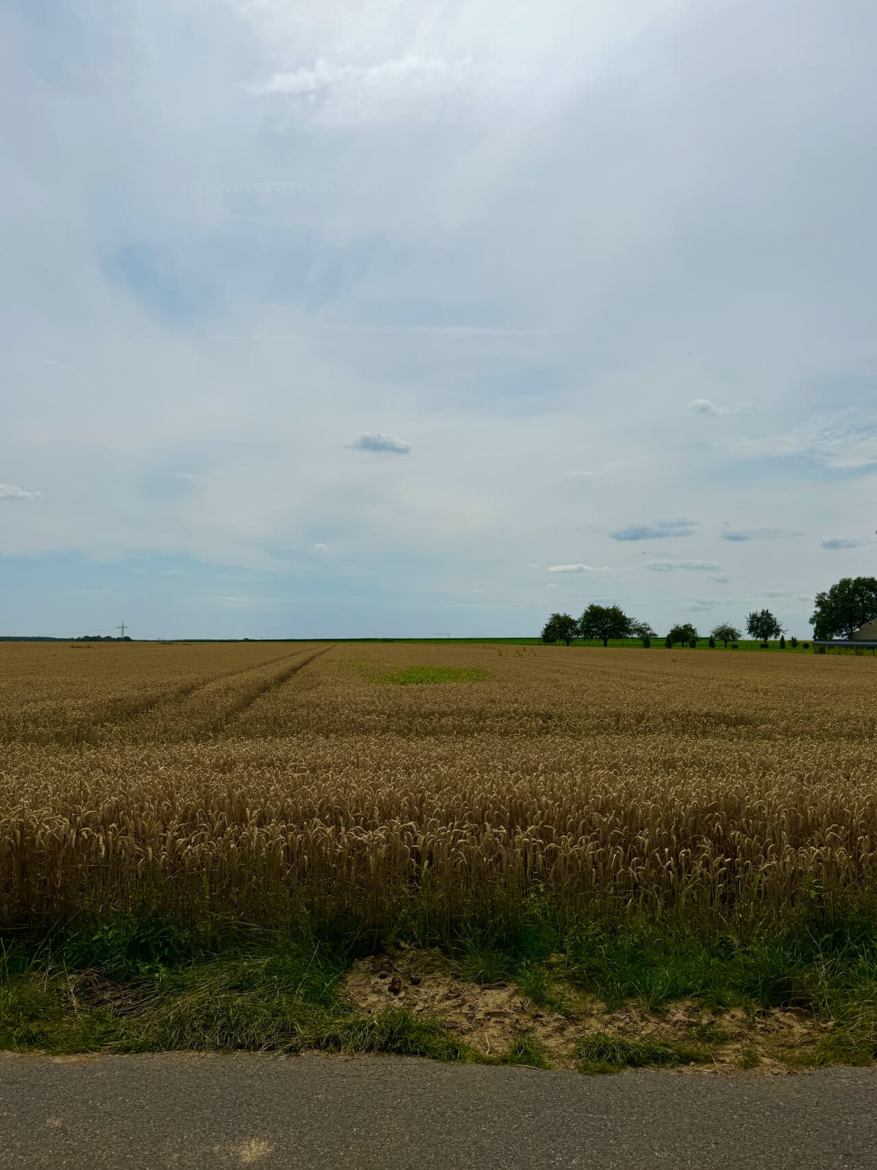Einfamilienhaus in Gangelt – Bild 10