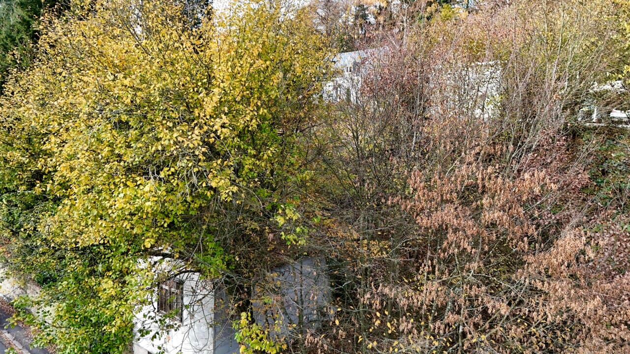 Wohngrundstück in Spiesen-Elversberg – Bild 5