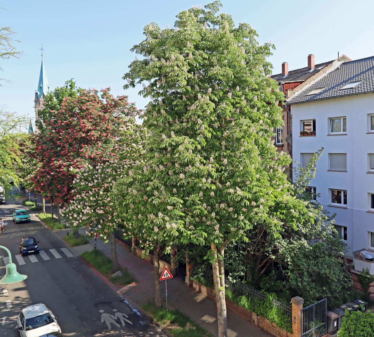 Wohnung in Darmstadt – Bild 7