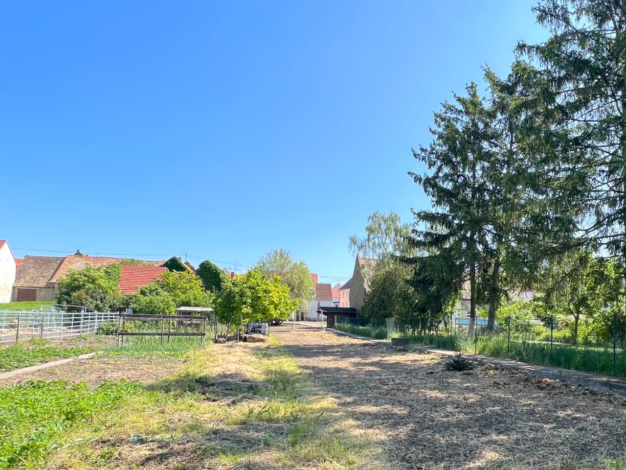 Wohngrundstück in Selzen – Bild 4