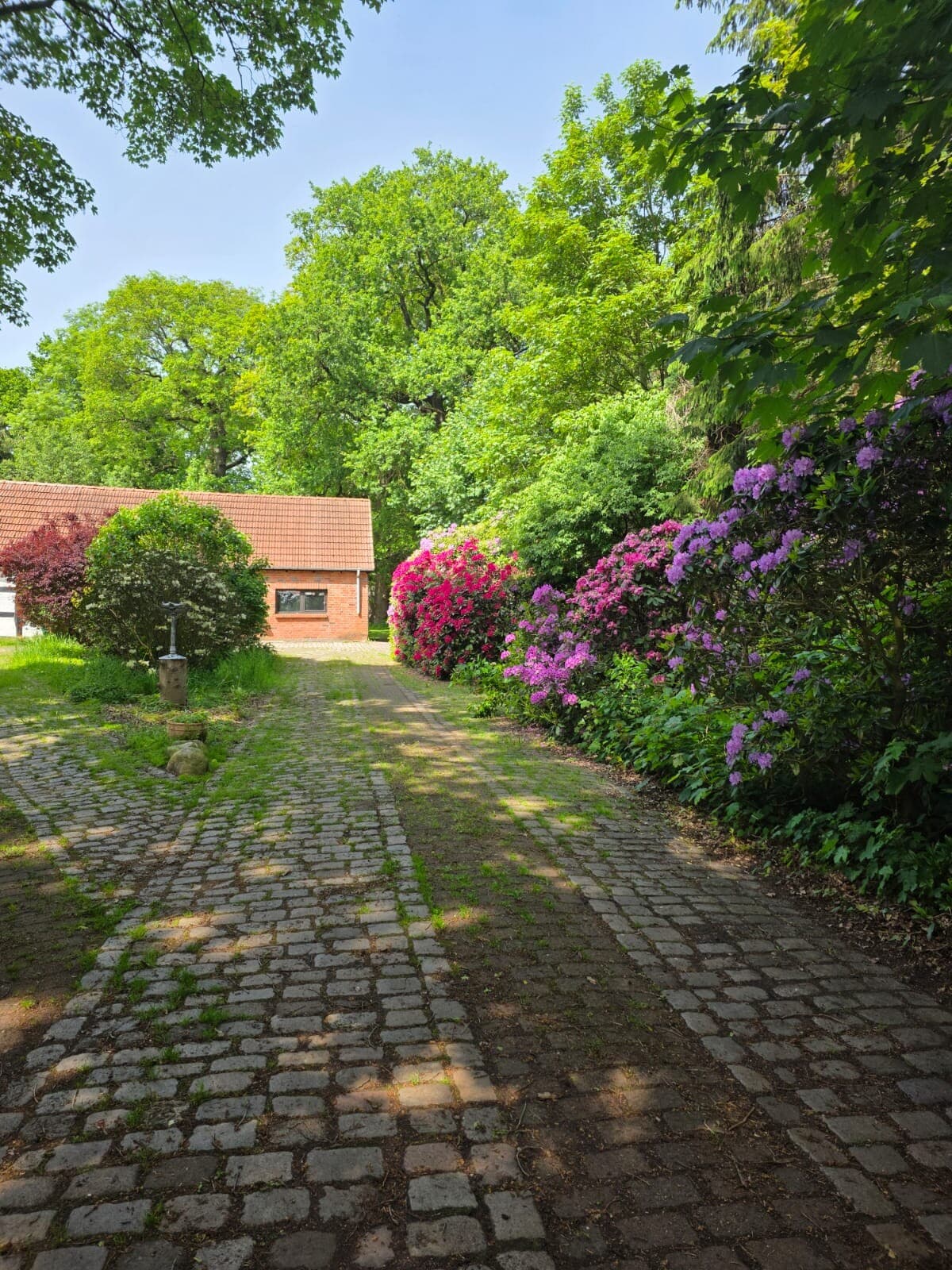 Einfamilienhaus in Nähe Bremen – Bild 3