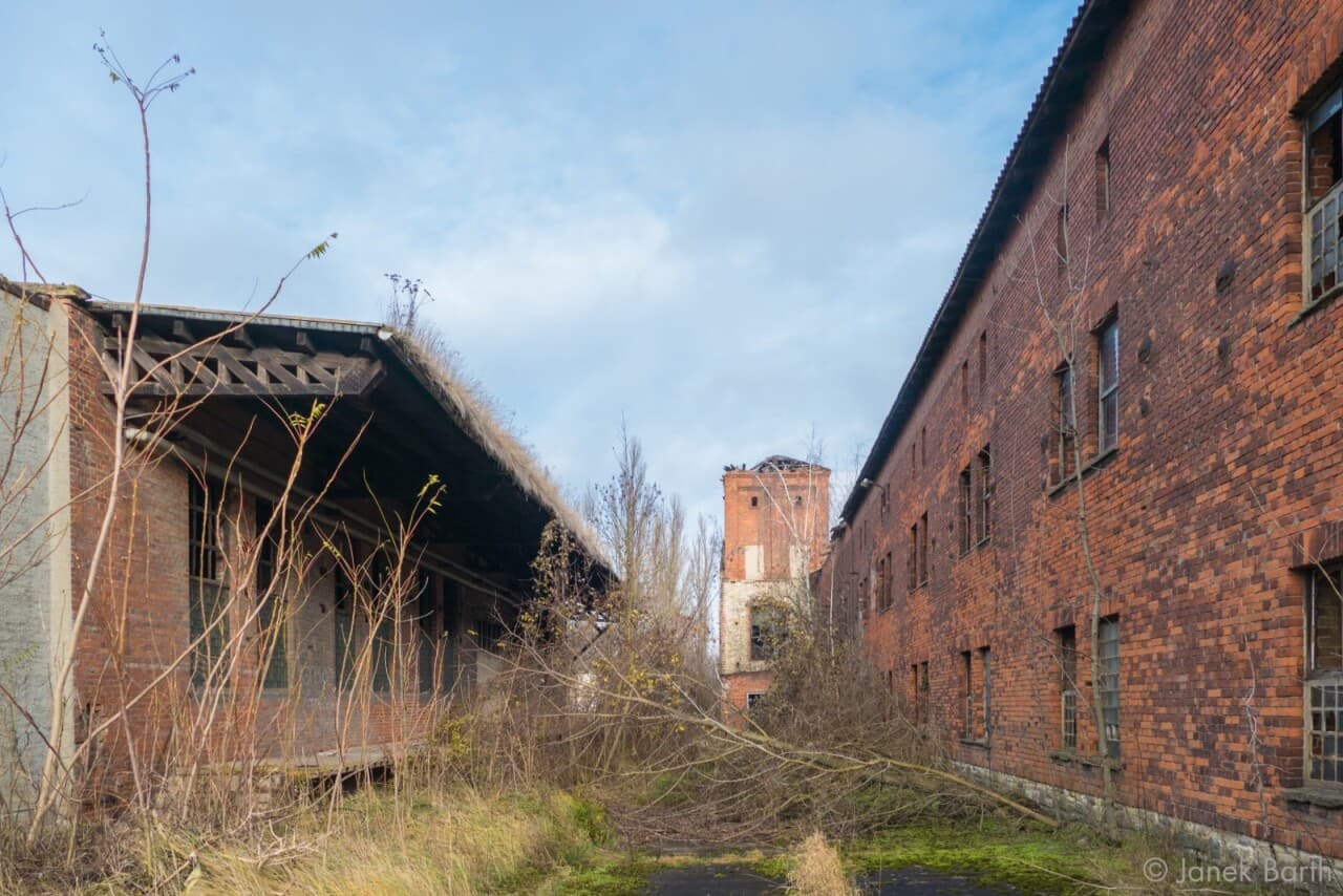 Gewerbegrundstück in Egeln / Egeln Nord – Bild 2