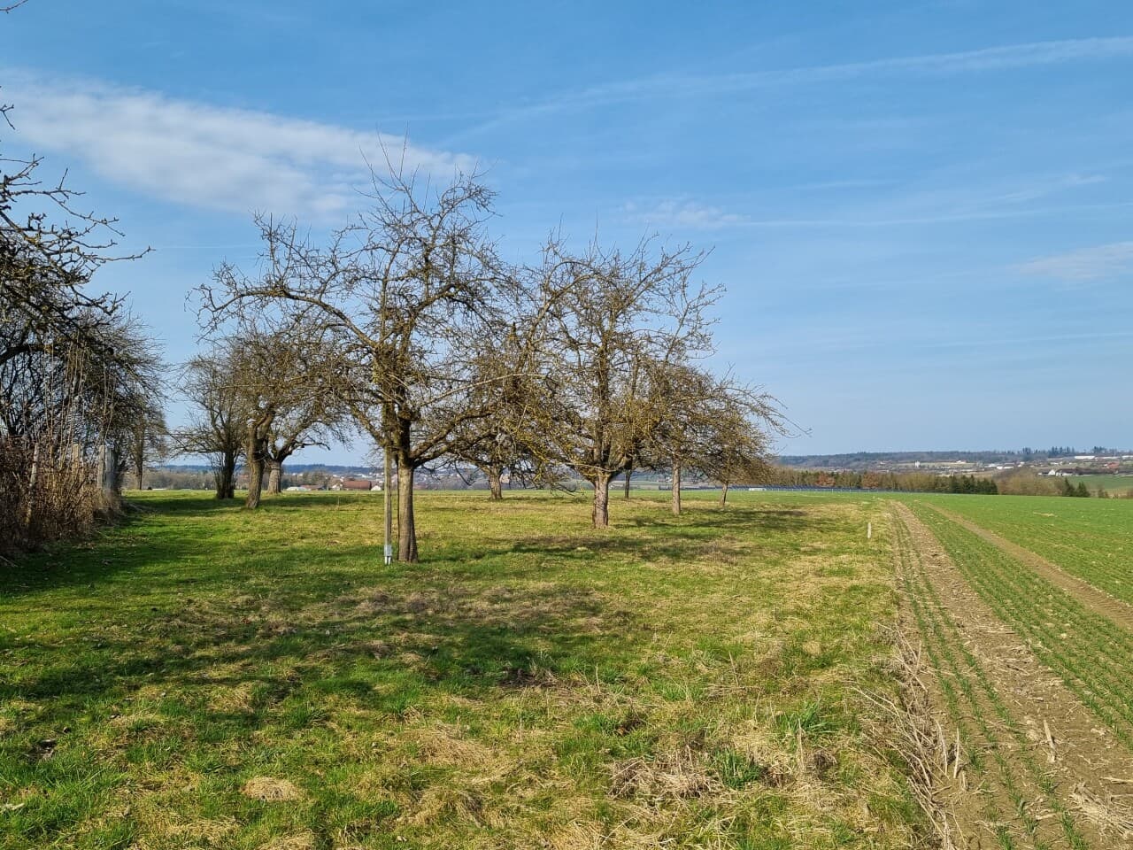 Bauernhaus in Neuburg am Inn – Bild 5