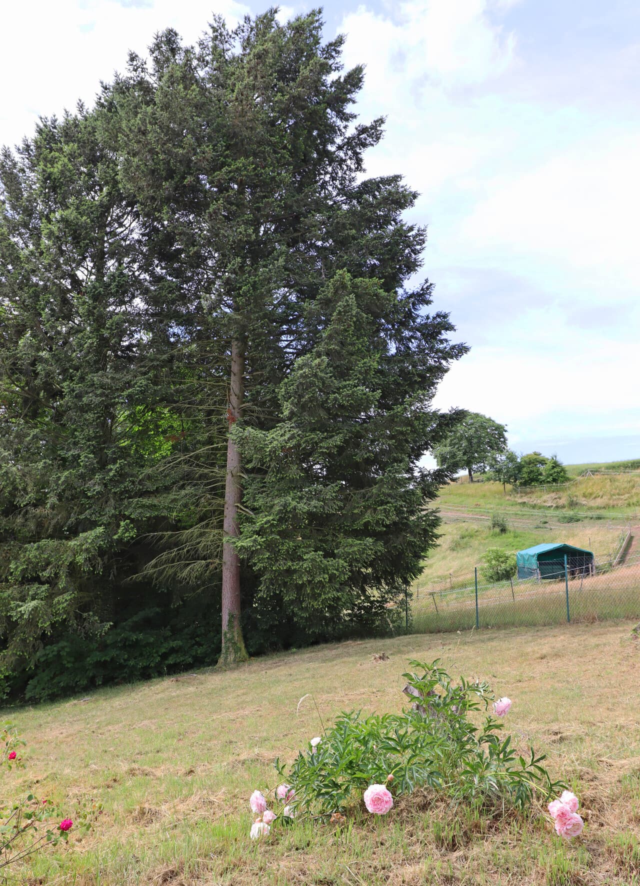 Einfamilienhaus in Ober-Ramstadt OT Modau – Bild 16