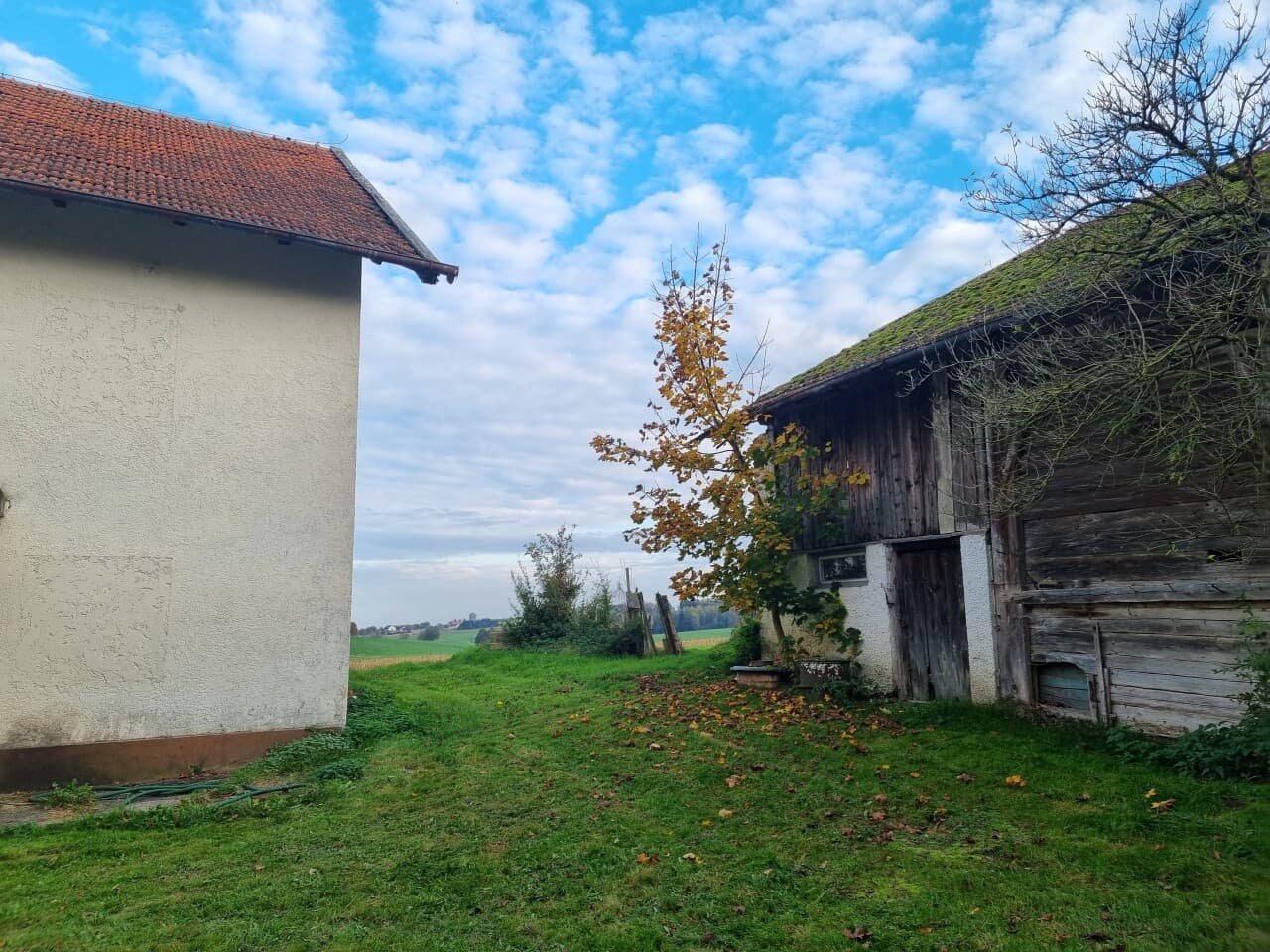 Bauernhaus in Rimbach – Bild 4