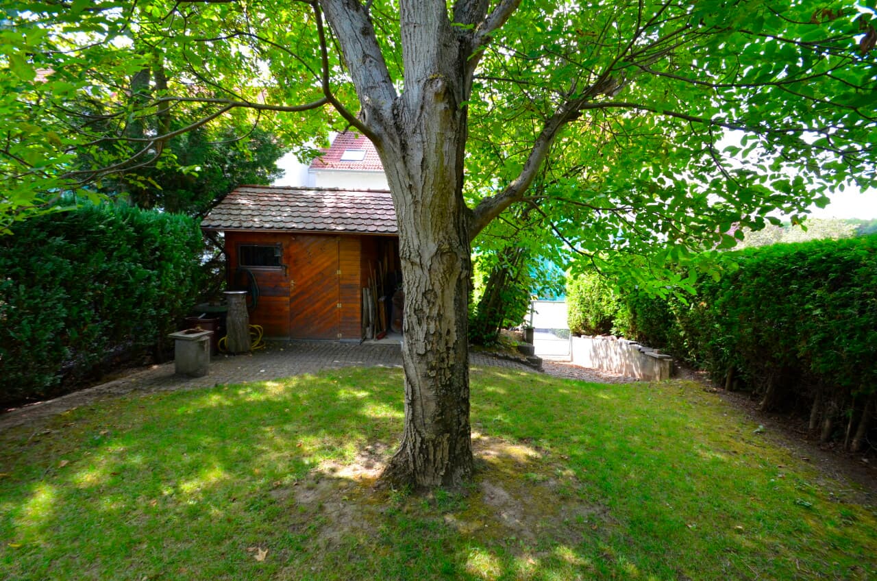 Reihenmittelhaus in Alzey – Bild 15