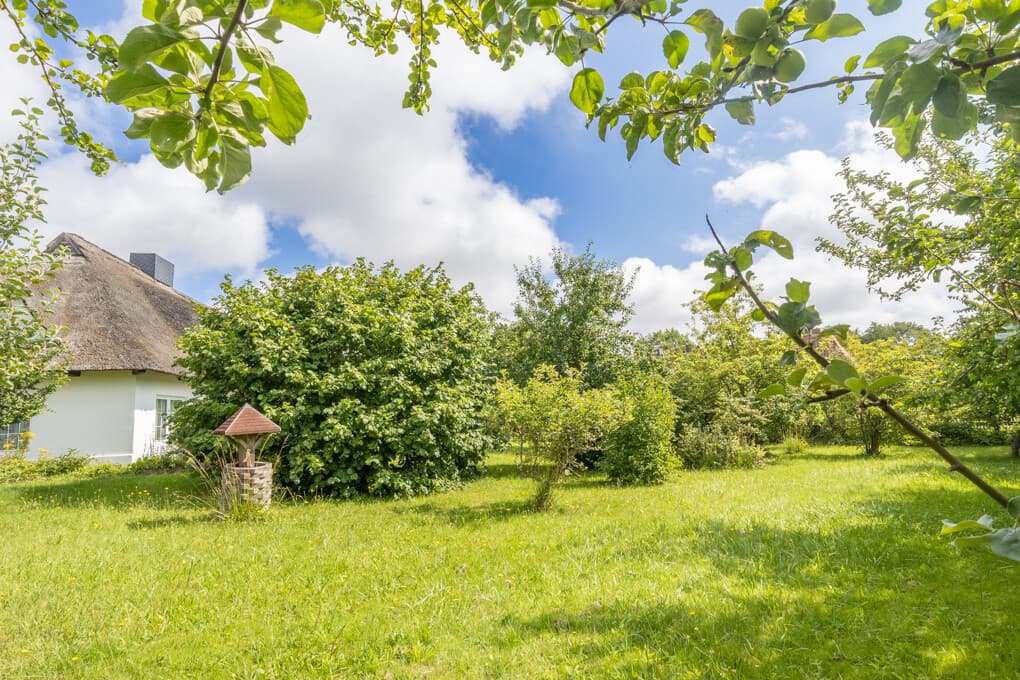 Einfamilienhaus in Köhn – Bild 10