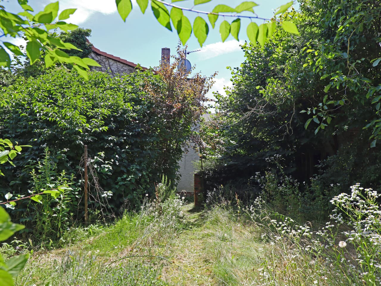 Einfamilienhaus in Darmstadt – Bild 7