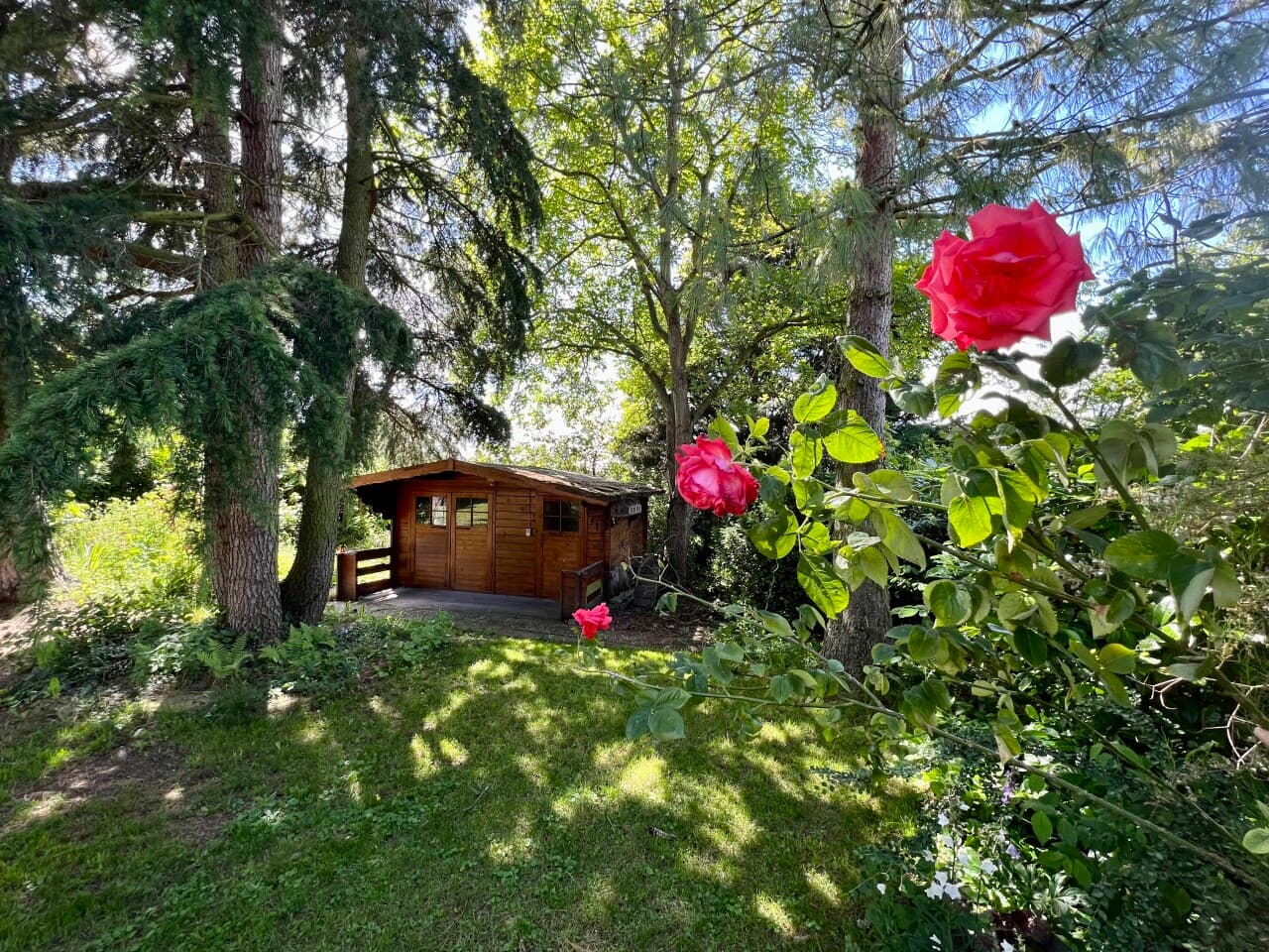 Einfamilienhaus in Wörrstadt – Bild 10