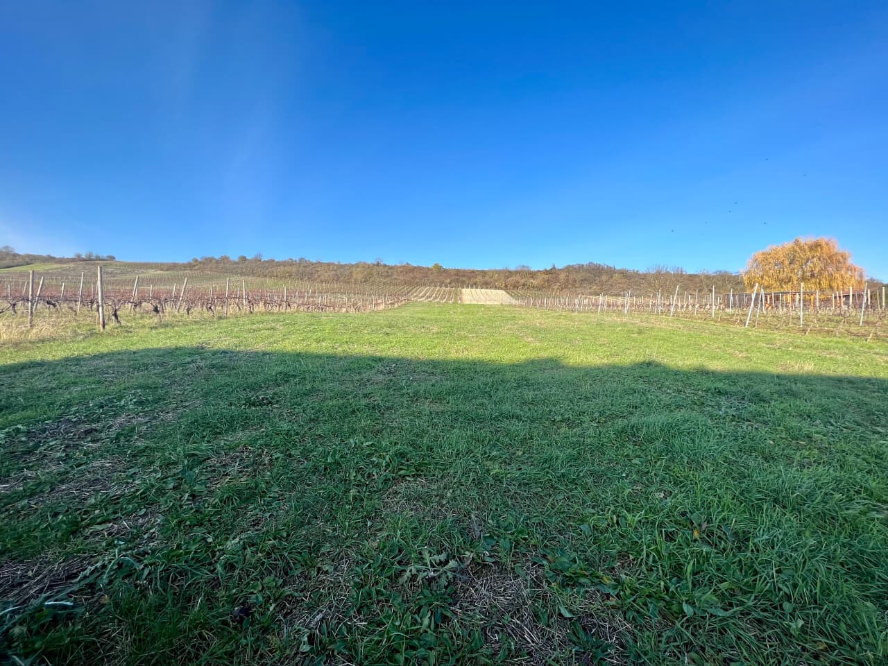 Doppelhaushälfte in Jugenheim – Bild 4