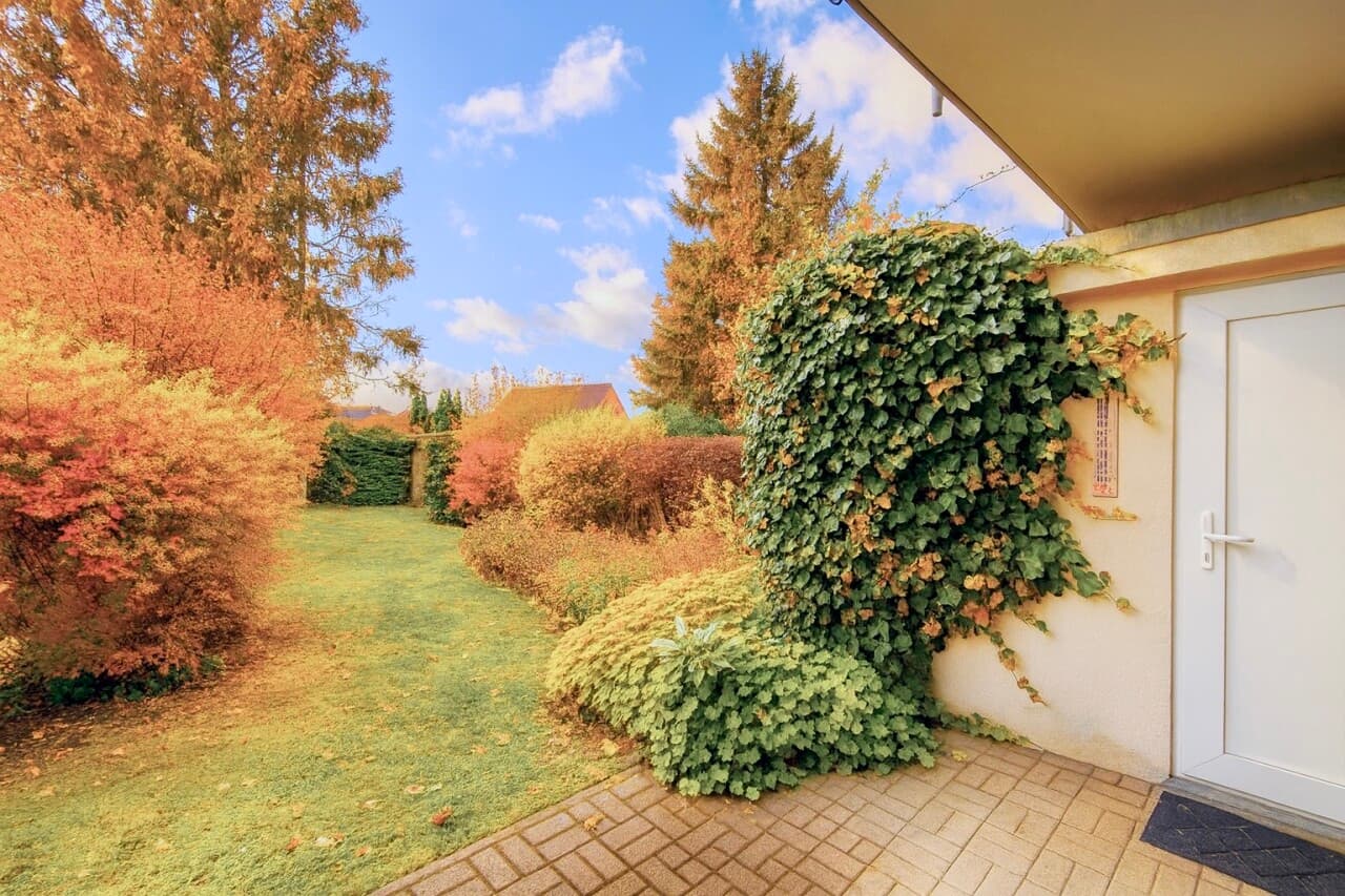 Etagenwohnung in Zingst – Bild 8